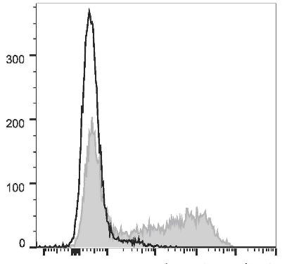APC Anti-Mouse IFN-κ Antibody [XMG1.2] (AGEL1292)