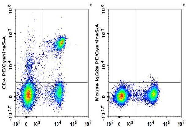 PE/Cyanine5 Anti-Rat CD4 (domain 1) Antibody [OX-38] (AGEL1359)