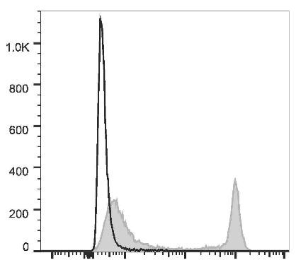 PE/Cyanine7 Anti-Rat CD4 (domain 1) Antibody [OX-38] (AGEL1360)