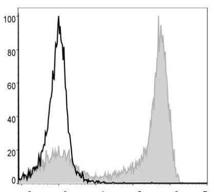 PE/Cyanine5 Anti-Mouse Ly6G Antibody [1A8] (AGEL1379)