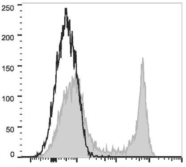 FITC Anti-Mouse CD45R/B220 Antibody [RA3.3A 1/6.1] (AGEL1401)
