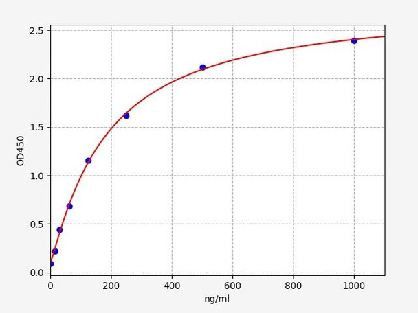 Rabbit ApoB48 / Apolipoprotein B48 ELISA Kit