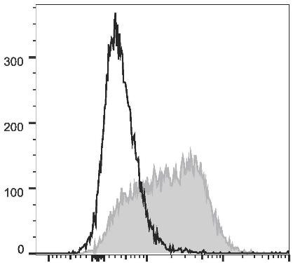 PE Anti-Mouse CD150 Antibody [TC15-12F12.2] (AGEL1881)