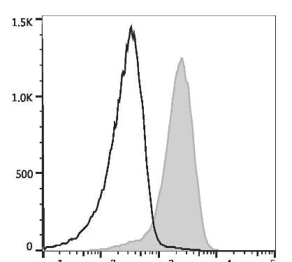 GenieFluor 647 Anti-Mouse CD31 Antibody [390] (AGEL1926)