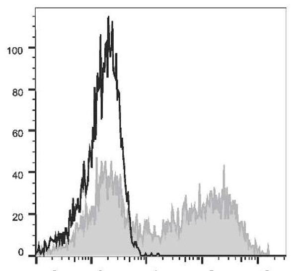 PE Anti-Mouse IL-10 Antibody [JES5-16E3] (AGEL2028)