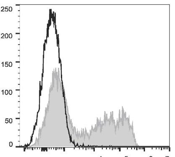 PE Anti-Mouse IL-6 Antibody [MP5-20F3] (AGEL2071)