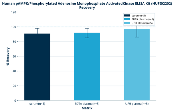 Human pAMPK/Phosphorylated Adenosine Monophosphate ActivatedKinase ELISA Kit (HUFI02202)