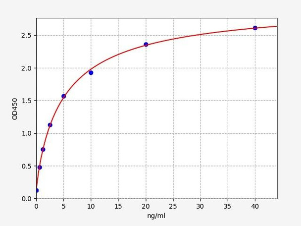 Human SLC16A8 ELISA Kit (HUFI02859)
