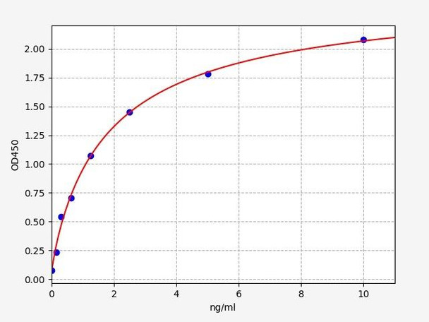 Rat Cathepsin B ELISA Kit (RTFI00185)