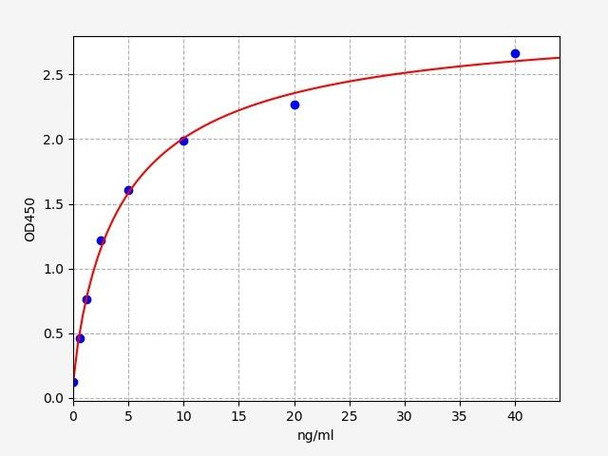 Rat CAPN1 ELISA Kit (RTFI00494)