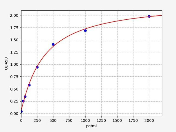 Rabbit TGF-beta 1/Transforming Growth Factor Beta1 ELISA Kit (RBFI00119)