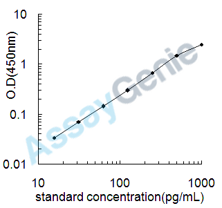 Human Interferon gamma (IFNG) ELISA Kit (HUEB0011)