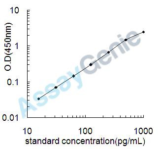 Human Interferon gamma (IFNG) ELISA Kit (HUEB0011)