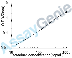 Human Vascular endothelial growth factor B (VEGFB) ELISA Kit (HUEB0031)