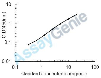 Human Alpha-N-acetylglucosaminidase (NAGLU) ELISA Kit (HUEB0453)