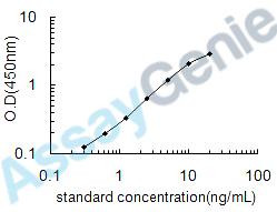 Human Insulin-like 3 (INSL3) ELISA Kit (HUEB0477)
