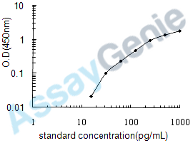 Human C-C motif chemokine 13 (CCL13) ELISA Kit (HUEB0492)