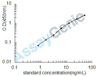 Human Advanced glycation end-product (AGE) ELISA Kit (HUEB0530)