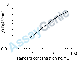 Human Transthyretin (TTR) ELISA Kit (HUEB0828)