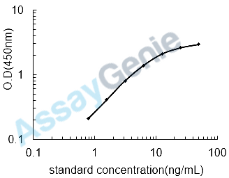 Human 25-hydroxyvitamin D-1 alpha hydroxylase, mitochondrial (CYP27B1) ELISA Kit (HUEB0989)