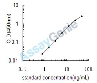 Human Alpha-1B-glycoprotein (A1BG) ELISA Kit (HUEB1056)