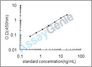 Human Importin subunit alpha-2 (KPNA2) ELISA Kit (HUEB1156)