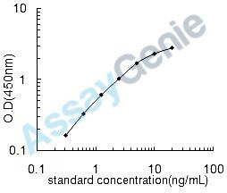 Human Taste receptor type 2 member 38 (TAS2R38) ELISA Kit (HUEB1259)
