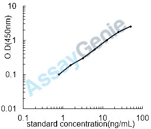 Human Laminin subunit beta-3 (LAMB3) ELISA Kit (HUEB1570)