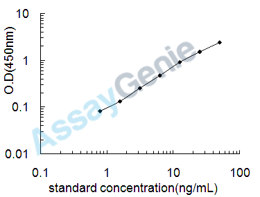 Human Fatty acid-binding protein, brain (FABP7) ELISA Kit (HUEB2198)