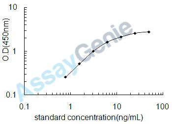 Human Angiomotin (AMOT) ELISA Kit (HUEB2332)