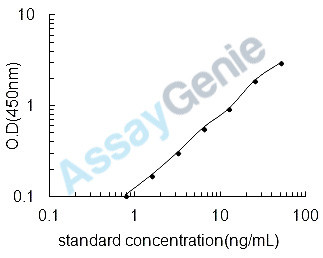 Human Methylenetetrahydrofolate reductase (MTHFR) ELISA Kit (HUEB2501)
