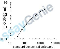Human Neuroendocrine protein 7B2 (SCG5) ELISA Kit (HUEB2714)