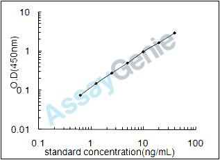 Mouse Secretin receptor (Sctr) ELISA Kit (MOEB0830)