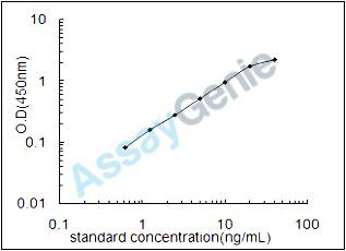 Mouse Leucine-rich repeat-containing G-protein coupled receptor 4 (Lgr4) ELISA Kit (MOEB0949)