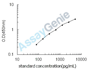 Mouse Transcription factor Maf (Maf) ELISA Kit (MOEB0980)