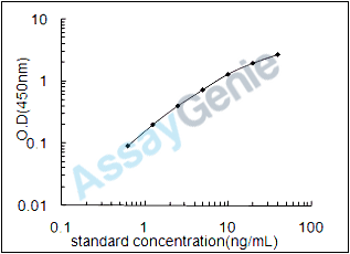 Mouse Laminin subunit beta-2 (Lamb2) ELISA Kit (MOEB1333)