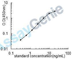 Mouse Protein Wnt-4 (Wnt4) ELISA Kit (MOEB2136)