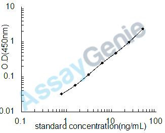 Bovine Heat shock 70 kDa protein 1A (HSPA1A) ELISA Kit (BOEB0376)