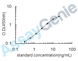 Dog Osteocalcin (BGLAP) ELISA Kit (CNEB0096)