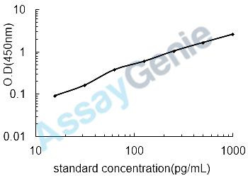 Dog C-C motif chemokine 17 (CCL17) ELISA Kit (CNEB0274)