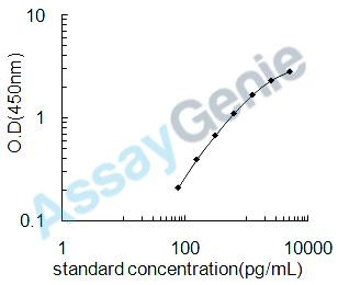 Rat Metalloproteinase inhibitor 2 (Timp2) ELISA Kit (RTEB0099)