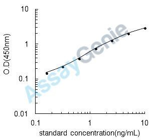 Rat Insulin-like 3 (Insl3) ELISA Kit (RTEB0146)