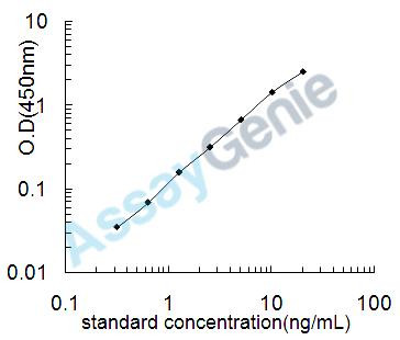 Rat Caveolin-1 (Cav1) ELISA Kit (RTEB0155)