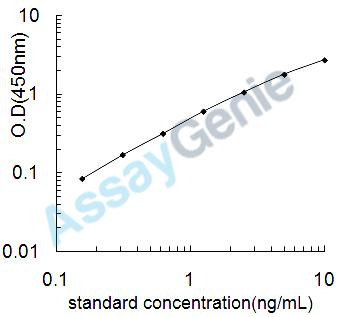 Rat Transgelin-2 (Tagln2) ELISA Kit (RTEB0282)