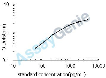 Rat Osteocalcin (Bglap) ELISA Kit (RTEB0295)