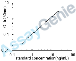 Rat Caspase-3 (Casp3) ELISA Kit (RTEB0374)