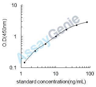 Rat Glycogen phosphorylase, liver form (Pygl) ELISA Kit (RTEB0488)