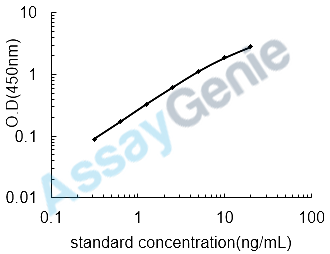 Rat Amyloid beta A4 protein (App) ELISA Kit (RTEB0520)