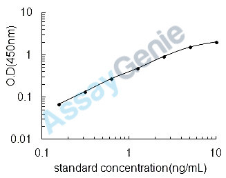 Rat ATP-binding cassette sub-family G member 2 (Abcg2) ELISA Kit (RTEB0524)