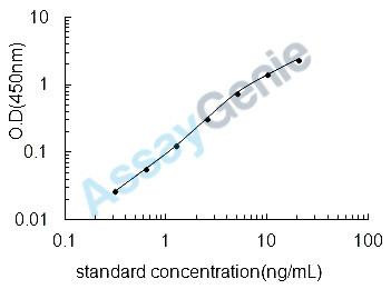 Rat Multidrug resistance-associated protein 1 (Abcc1) ELISA Kit (RTEB0627)